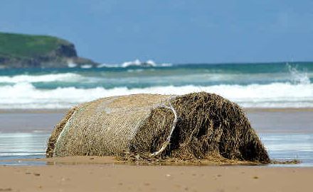Hay, what's that: A hay bale has its final resting place on Sandy Beach. Hay, what's that: A hay bale has its final resting place on Sandy Beach.